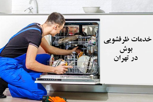خدمات ظرفشویی بوش