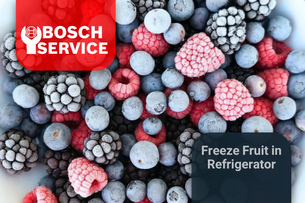 چرا مواد غذایی در یخچال یخ میزنند؟